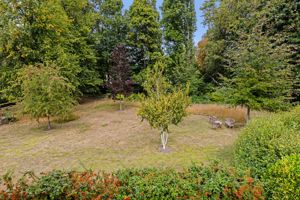 Photo 26- click for photo gallery